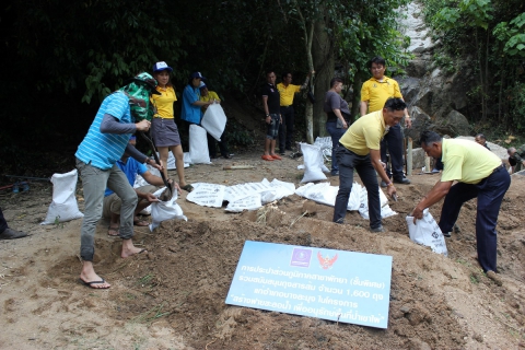 ไฟล์แนบ กปภ.สาขาพัทยา (พ) ร่วมสนับสนุนถุงสารส้ม สร้างฝายชะลอน้ำ เขาไผ่