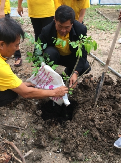 ไฟล์แนบ การประปาส่วนภูมิภาคสาขาฉะเชิงเทรา จัดกิจกรรม "ปลูกต้นรวงผึ้ง" เพื่อเป็นการเฉลิมพระเกียรติสมเด็จพระเจ้าอยู่หัว รัชกาลที่ 10