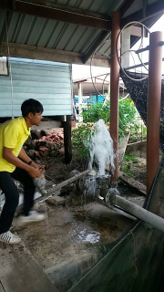 ไฟล์แนบ กปภ.สาขาสมุทรสงคราม ลงพื้นที่แก้ไขปัญหาน้ำไหลอ่อน-ไม่ไหล ในพื้นที่ ต.คลองโคน