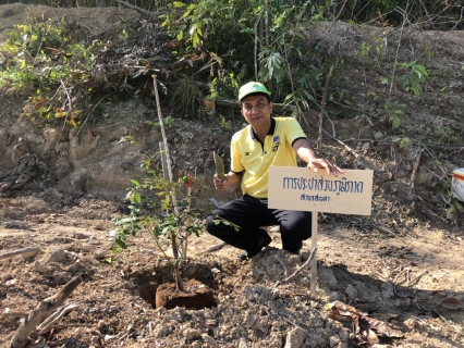 ไฟล์แนบ กปภ.สาขาสะเดาเข้าร่วมกิจกรรมท้องถิ่นอาสา ปลูกป่าเฉลิมพระเกียรติ "จิตอาสา สร้างป่า รักษ์น้ำ" 