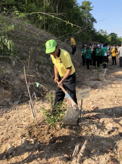 ไฟล์แนบ กปภ.สาขาสะเดาเข้าร่วมกิจกรรมท้องถิ่นอาสา ปลูกป่าเฉลิมพระเกียรติ "จิตอาสา สร้างป่า รักษ์น้ำ" 