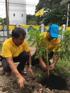 ไฟล์แนบ กปภ.สาขาฉะเชิงเทรา  ปลูกต้นไม้ เพื่อเป็นการปลูกต้นไม้ให้แผ่นดิน พ.ศ 2561 
