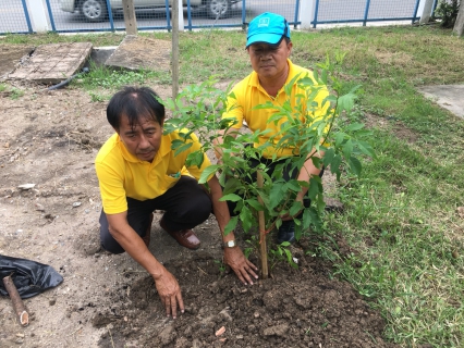 ไฟล์แนบ กปภ.สาขาฉะเชิงเทรา  ปลูกต้นไม้ เพื่อเป็นการปลูกต้นไม้ให้แผ่นดิน พ.ศ 2561 