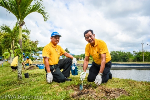 ไฟล์แนบ ประปาบ้านฉาง จัดกิจกรรมปลูกต้นไม้เฉลิมพระเกียรติ ๖๖ พรรษา ในหลวง ร.๑๐