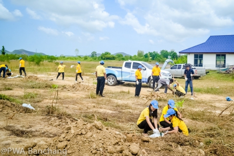 ไฟล์แนบ ประปาบ้านฉาง จัดกิจกรรมปลูกต้นไม้เฉลิมพระเกียรติ ๖๖ พรรษา ในหลวง ร.๑๐
