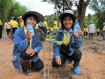 ไฟล์แนบ กปภ.สาขาพะเยาร่วมแจกน้ำดื่มในโครงการ สร้างฝายชะลอน้ำ 66 พรรษา 66 สาย 6,600 ต้น เฉลิมพระเกียรติ ในหลวงรัชกาลที่ 10 เพื่อปกป้องเทิดทูนสถาบันพระมหากษัตริย์ เสริมสร้างความปรองดองสมานฉันท์ในพื้นที่ เพื่อน้อมรำลึกในพระมหากรุณาธิคุณ และแสดงความจงรักภักดี สมเด็จพระเจ้าอยู่หัว มหาวชิราลงกรณ บดินทรเทพยวรางกูร