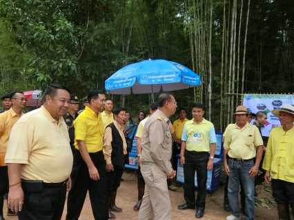 ไฟล์แนบ กปภ.สาขาพะเยาร่วมแจกน้ำดื่มในโครงการ สร้างฝายชะลอน้ำ 66 พรรษา 66 สาย 6,600 ต้น เฉลิมพระเกียรติ ในหลวงรัชกาลที่ 10 เพื่อปกป้องเทิดทูนสถาบันพระมหากษัตริย์ เสริมสร้างความปรองดองสมานฉันท์ในพื้นที่ เพื่อน้อมรำลึกในพระมหากรุณาธิคุณ และแสดงความจงรักภักดี สมเด็จพระเจ้าอยู่หัว มหาวชิราลงกรณ บดินทรเทพยวรางกูร