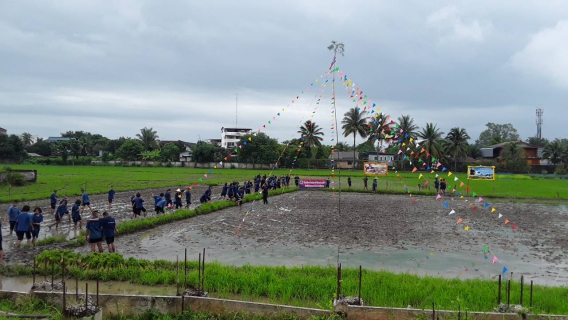 ไฟล์แนบ นายกมล ประดุงรุก ผู้จัดการการประปาส่วนภูมิภาคสาขาแม่สอด มอบหมายให้ นายวินิจฉัย โทณะสุต หัวหน้างานผลิต นำทีมพนักงานในสังกัด ร่วมเป็นเกียรติในกิจกรรม "ลงแขกดำนา ตามหลักสูตรนาอินทรีย์" เพื่อรำลึกในพระมหากรุณาธิคุณ ในหลวงรัชกาลที่ 9 ผู้ทรงพระราสชทานแนวคิดปรัชญาของเศรษฐกิจพอเพียง ซึ่งได้ดำเนินกิจกรรมต่อเนื่องกันมาเป็นปีที่ 15 