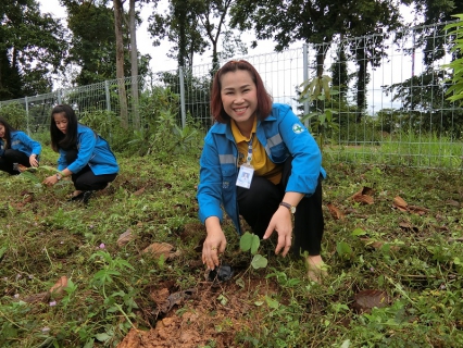 ไฟล์แนบ กปภ.สาขาพะเยา จัดกิจกรรม "โครงการปลูกป่าเฉลิมพระเกียรติสมเด็จพระเจ้าอยู่หัวมหาวชิราลงกรณบดินทรเทพยวรางกูร เนื่องในโอกาสเฉลิมพระชนมพรรษา 66 พรรษา 28 กรกฎาคม 2561"