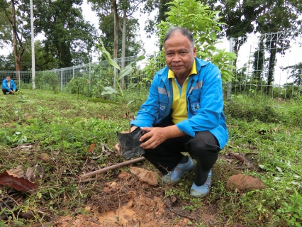 ไฟล์แนบ กปภ.สาขาพะเยา จัดกิจกรรม "โครงการปลูกป่าเฉลิมพระเกียรติสมเด็จพระเจ้าอยู่หัวมหาวชิราลงกรณบดินทรเทพยวรางกูร เนื่องในโอกาสเฉลิมพระชนมพรรษา 66 พรรษา 28 กรกฎาคม 2561"