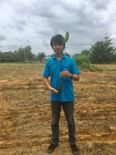 ไฟล์แนบ กปภ.สาขาปากน้ำประแสร์ เข้าร่วมกิจกรรม "ประชารัฐร่วมใจ ปลูกต้นไม้ให้แผ่นดิน" 