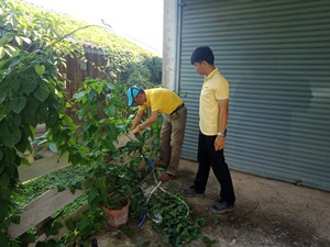 ไฟล์แนบ กปภ.สาขาจุน จัดกิจกรรม ร้อยดวงใจถวายพ่อหลวง 
