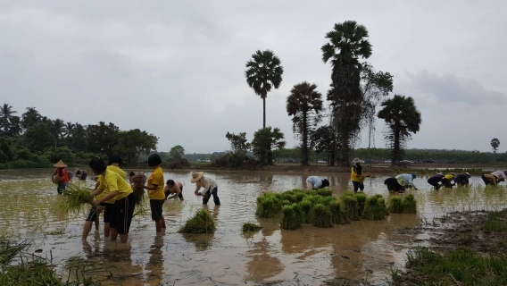 ไฟล์แนบ การประปาส่วนภูมิภาค สาขานาทวี เข้าร่วมกิจกรรมโครงการ "พลิกนาร้าง เป็นนารักษ์"