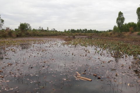 ไฟล์แนบ ผู้อำนวยการการประปาส่วนภูมิภาคเขต ๖ ลงพื้นที่ตรวจเยี่ยม การประปาส่วนภูมิภาค สาขาสุวรรณภูมิ 