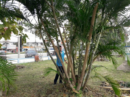 ไฟล์แนบ กปภ.สาขาเกาะคา จัดกิจกรรม Big Cleaning Day ครั้งที่ 1/2562