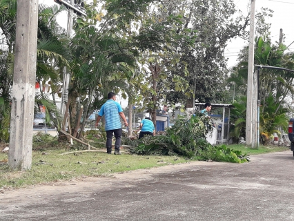 ไฟล์แนบ กปภ.สาขาเกาะคา จัดกิจกรรม Big Cleaning Day ครั้งที่ 1/2562
