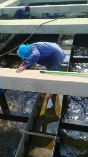 ไฟล์แนบ กปภ.สาขากาญจนบุรี ล้างถังตกตะกอนโรงกรอง600  ประจำเดือน มกราคม 2562 