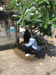 ไฟล์แนบ คณะกรรมการตรวจเยี่ยมโครงการwater is life ณ กปภ.สาขาสะเดา