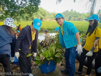 ไฟล์แนบ ประปาบ้านฉาง ใส่ใจแหล่งน้ำ ร่วมลอกผักตบในชุมชน