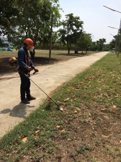 ไฟล์แนบ จัดกิจกรรม Big Cleaning Day 