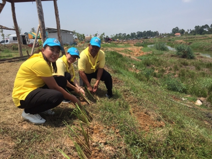 ไฟล์แนบ การประปาส่วนภูมิภาคสาขากบินทร์บุรี  ร่วมกิจกรรมจิตอาสา เราทำความดี ด้วยหัวใจ  ในชื่อโครงการ จิตอาสาพัฒนา ปลูกและบำรุงรักษาต้นไม้เนื่องในวันต้นไม้ประจำปีของชาติ พ.ศ.2562