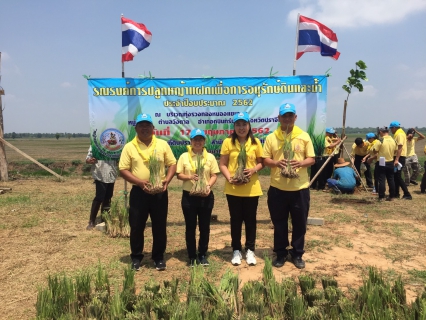 ไฟล์แนบ การประปาส่วนภูมิภาคสาขากบินทร์บุรี  ร่วมกิจกรรมจิตอาสา เราทำความดี ด้วยหัวใจ  ในชื่อโครงการ จิตอาสาพัฒนา ปลูกและบำรุงรักษาต้นไม้เนื่องในวันต้นไม้ประจำปีของชาติ พ.ศ.2562