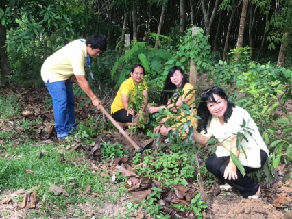 ไฟล์แนบ กปภ.สาขาขลุง จัดกิจกรรมวันต้นไม้ประจำปีของชาติ 2562