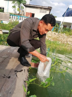 ไฟล์แนบ กปภ.สาขาสุไหง โก-ลก ร่วมกันปล่อยพันธุ์ปลากินพืช" ตามโครงการสนับสนุนการบูรณาการและขับเคลื่อนนโยบายในระดับอำเภอและท้องที่ ประจำปีงบประงบประมาณ พ.ศ.2562 ในวันที่ 12 มิถุนายน 2562 บริเวณสระน้ำ กปภ.สาขาสุไหง โก-ลก อำเภอสุไหง โก-ลก จังหวัดนราธิวาส