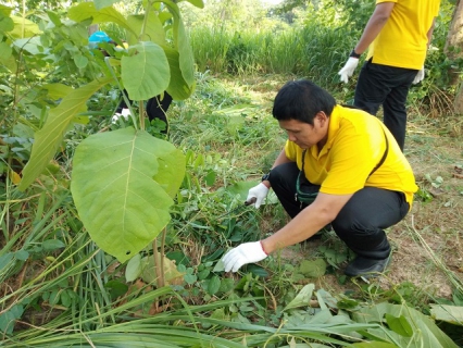ไฟล์แนบ กปภ.สาขากำแพงเพชร เข้าร่วมกิจกรรมจิตอาสา พัฒนาลำน้ำ ลำคลอง เนื่องในโอกาสวันเฉลิมพระชนมพรรษา พระบาทสมเด็จพระเจ้าอยู่หัว