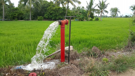 ไฟล์แนบ กปภ.สาขากำแพงเพชร ส่งทีมพนักงานสำรวจหาท่อแตก-รั่ว พร้อมระบายตะกอนในเส้นท่อ ตามแผนเดือนสิงหาคม2562