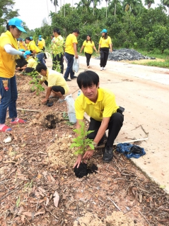 ไฟล์แนบ กปภ.สาขาปากน้ำประแสร์ เข้าร่วมกิจกรรมโครงการฟื้นฟูและพัฒนาสิงแวดล้อม