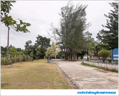 ไฟล์แนบ การประปาส่วนภูมิภาคสาขาขนอม ร่วมกิจกรรม Big Cleaning Day ครั้งที่ 13/2562