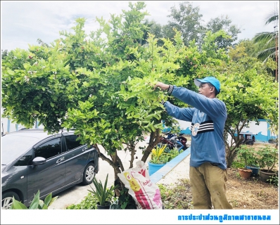 ไฟล์แนบ การประปาส่วนภูมิภาคสาขาขนอม ร่วมกิจกรรม Big Cleaning Day ครั้งที่ 13/2562