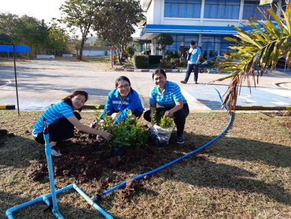 ไฟล์แนบ ปรับปรุงภูมิทัศน์โดยรอบสำนักงาน