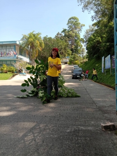 ไฟล์แนบ กปภ.สาขาภูเก็ต จัดกิจกรรม Big Cleaning Day ครั้งที่ 1/2563