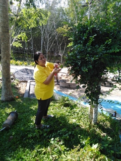 ไฟล์แนบ กปภ.สาขาจันดี จัดกิจกรรม Big Cleaning Day 