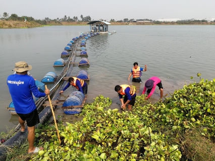 ไฟล์แนบ กปภ.สาขาอู่ทอง กำจัดวัชพืช(ผักตบชวา) ในแหล่งน้ำดิบ