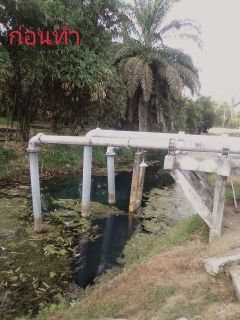 ไฟล์แนบ การประปาส่วนภูมิภาคสาขาอ่าวลึก ร่วมทำความสะอาดลำคลอง 