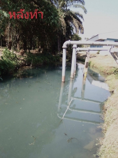 ไฟล์แนบ การประปาส่วนภูมิภาคสาขาอ่าวลึก ร่วมทำความสะอาดลำคลอง 
