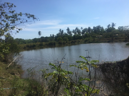 ไฟล์แนบ นายสมพงษ์  ณ นคร ผู้จัดการการประปาส่วนภูมิภาคสาขาเกาะพะงัน  พร้อมด้วยหัวหน้างานผลิต ดำเนินการสำรวจหาแหล่งน้ำดิบ (แหล่งน้ำสำรอง) บริเวณพื้นที่ของเอกชน ม.5 ต.เกาะพะงัน อ.เกาะพะงัน จ.สุราษฎร์ธานี เพื่อหาแนวทางในการนำน้ำดิบมาใช้ในการผลิตน้ำประปาต่อไป