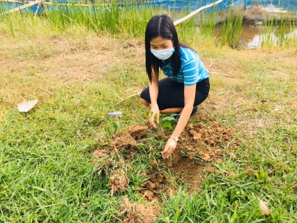 ไฟล์แนบ กปภ.สาขาพังงา ร่วมกิจกรรมปลูกต้นไม้ประจำปี 2563 