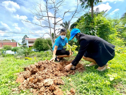 ไฟล์แนบ การประปาส่วนภูมิภาคสาขากระบี่ จัดกิจกรรมวันต้นไม้ประจำปีของชาติ พ.ศ.2563