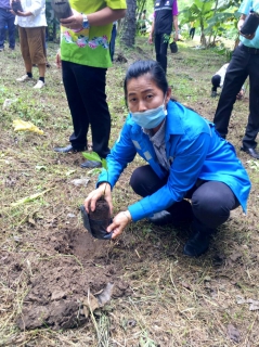 ไฟล์แนบ การประปาส่วนภูมิภาคสาขาอ่าวลึก เข้าร่วมกิจกรรมขยายผลปลูกผักสวนครัวจากวัดสู่ชุมชน ตามหลัก บวร แผนปฏิบัติการ 90 วัน 