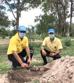 ไฟล์แนบ กปภ.สาขาพนมทวน ร่วมกิจกรรมจิตอาสาปรับภูมิทัศน์และปลูกต้นไม้ 