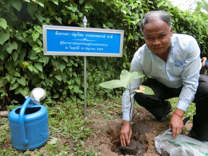 ไฟล์แนบ กิจกรรมจิตอาสาพัฒนาเพื่อสำนึกในพระมหากรุณาธิคุณ พระบรมราชินีฯ 3 มิถุนายน 2563