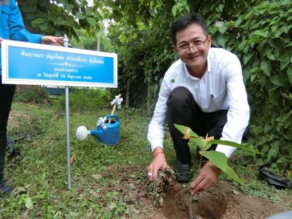 ไฟล์แนบ กิจกรรมจิตอาสาพัฒนาเพื่อสำนึกในพระมหากรุณาธิคุณ พระบรมราชินีฯ 3 มิถุนายน 2563