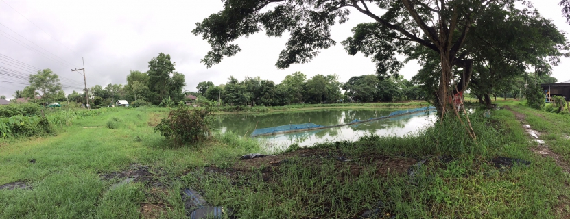 ไฟล์แนบ กปภ.สาขาเชียงราย ร่วมกับชุมชน ปรับปรุงภูมิทัศน์และปลูกต้นไม้