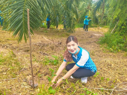 ไฟล์แนบ การประปาส่วนภูมิภาคสาขาอ่าวลึก เข้าร่วมกิจกรรมอาสาปลูกต้นไม้ และดูแลบำรุงรักษาต้นไม้  บริเวณที่สาธารณประโยชน์ ม.2 ต.คลองหิน เนื่องในวันเฉลิมพระชนมพรรษาสมเด็จพระนางเจ้าสิริกิติ์ พระบรมราชินีนาถ พระบรมราชชนนีพันปีหลวง