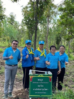 ไฟล์แนบ กปภ.ข.6 ร่วมกิจกรรมปลูกต้นไม้  โครงการ เราทำความดี เพื่อชาติ ศาสนา พระมหากษัตริย์
