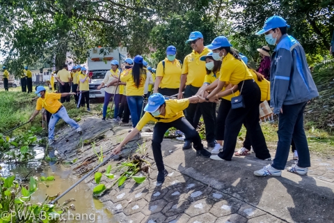 ไฟล์แนบ สาขาบ้านฉาง ร่วมกิจกรรมจิตอาสากำจัดผักตบ เนื่องในวันมหิดล